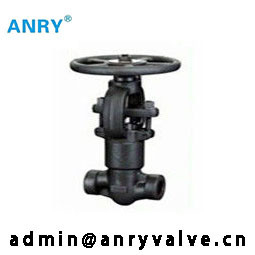 Van de het Lichaams13%cr versiering van API602 SW BW NPT Gesmede A105 de Poortklep
