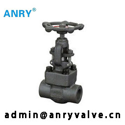 Van de het Lichaams13%cr versiering van API602 SW BW NPT Gesmede A105 de Poortklep